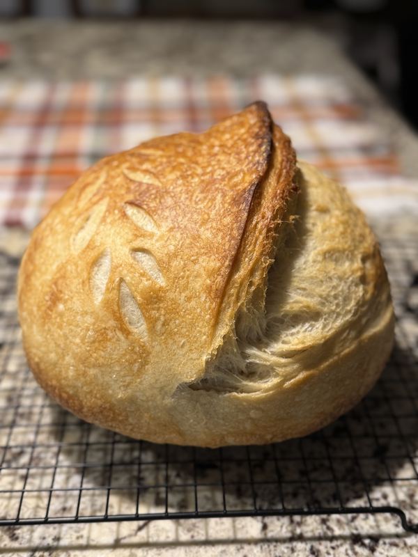 A tall sourdough loaf with a crisp open ear and wheat-leaf scoring
