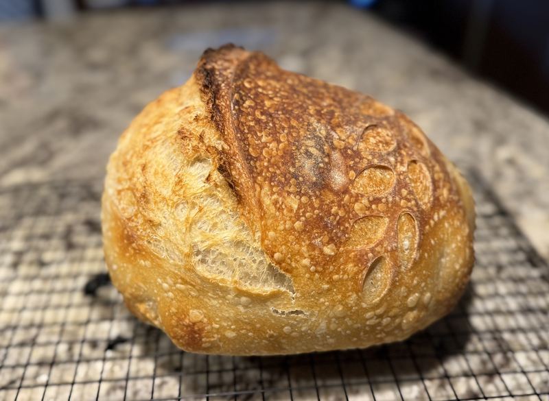 Deeply golden sourdough loaf with a blistered crust