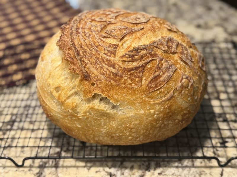 Round sourdough loaf with sweeping leaf scoring