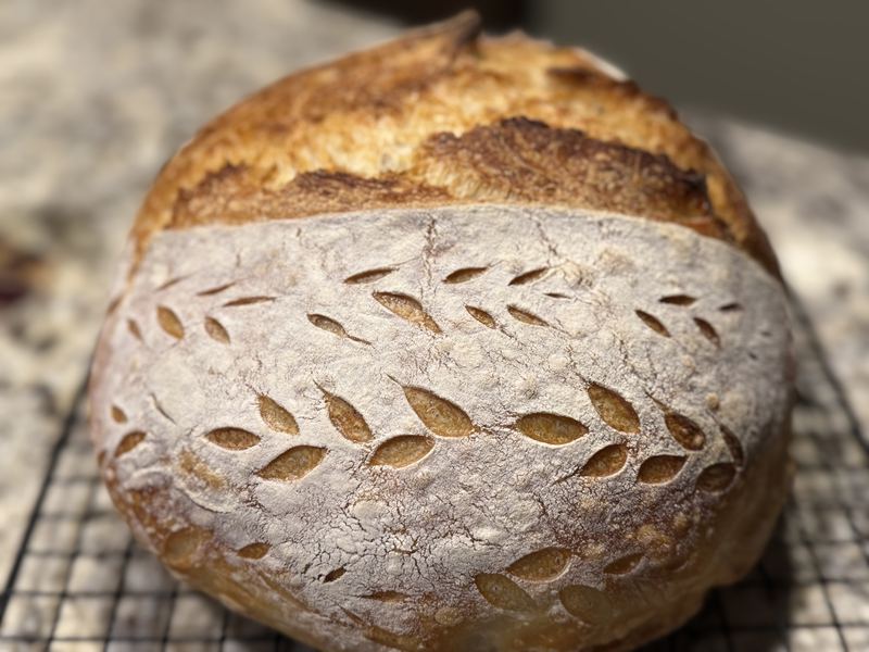 Close-up of a floured sourdough loaf scored with rows of wheat